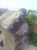 castlepark gate - 11490.jpg